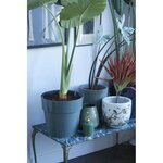 B.for Original Rond 22 leaf green