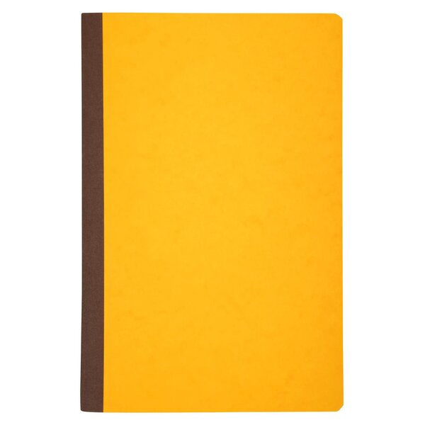 Piqûre 300x195 3 Colonnes/page 80 Pages Foliotées - Couleurs Assorties - Le Dauphin