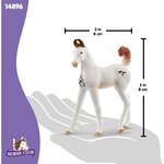 Schleich 14896 - Horse Club Poulain Marwari
