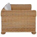 vidaXL Fauteuil avec coussins Rotin naturel