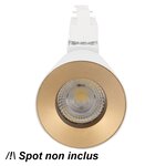 Cadre à spot dore pour spot led sur rail 12w 38° monophasé dimmable - doré - silamp