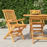 vidaXL Chaises de jardin pliantes 2 Pièces 56x63x90 cm bois massif teck