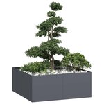 vidaXL Jardinière anthracite 100x100x40 cm acier