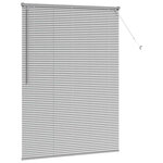 vidaXL Store de Fenêtre avec des rideaux Manuel Argent Aluminium