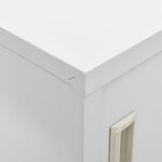 vidaXL Armoires à casiers 2 Pièces Gris clair 90x45x92 5 cm Acier