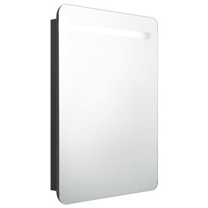 vidaXL Armoire de salle de bain à miroir LED noir 60x11x80 cm