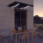 vidaXL Auvent manuel rétractable avec LED 300x250 cm Anthracite