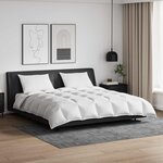 vidaXL Ensemble de Duvet avec oreiller 3 pièces Blanc Plume de canard