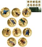 Pièce de monnaie en Or 3000 Francs g 0.031 (1/1000 oz) Millésime 2024 Wonder World Set BEES