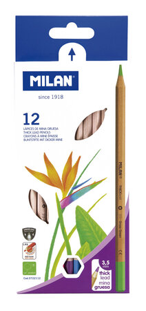 Crayons de couleur mine épaisse Ø 3 5 mm hexagonaux 12 pièces