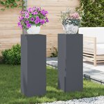 vidaXL Supports de Plantes Extérieurs Pillar 2 Pièces Anthracite 24x24x75 cm Acier