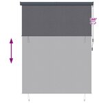 vidaXL Store Roulant Extérieur Striped Anthracite 220 x 250 cm tissu