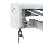 vidaXL Auvent rétractable anthracite et blanc 4 5x3 m tissu/aluminium