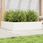 vidaXL Jardinière blanc 100x100x23 cm bois de pin massif