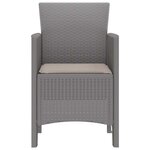 vidaXL Chaise de jardin 2 Pièces Gris clair 53 x 49 x 85 cm PP