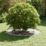 vidaXL adapté pour anneau d'arbre plat Blanc Ø60 / 90 cm Acier