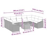 vidaXL Ensemble de canapé de jardin 10 pièces avec coussins en rotin et acacia