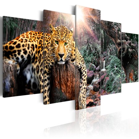 Tableau - leopard relaxation l x h en cm 100x50