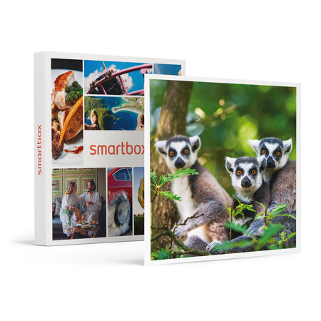 SMARTBOX - Coffret Cadeau Journée zoo en famille pour 1 adulte et 2 enfants au Safari de Peaugres -  Sport & Aventure