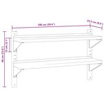 vidaXL Étagère murale 2 niveaux 100x23 5x60cm argenté acier inoxydable