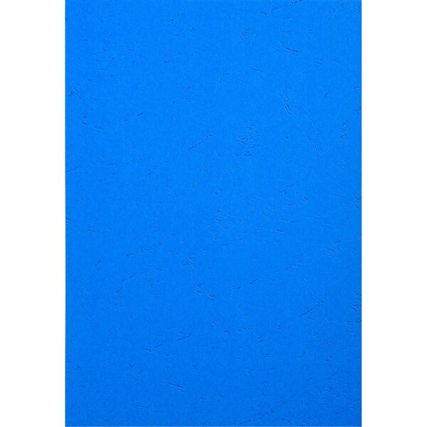 Paquet De 100 Couvertures Grain Cuir Pour Reliure A4 - Bleu - Papeteries De Clairefontaine