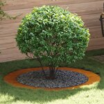 vidaXL Jardinier en Acier Corten Acier corten Grand Durable
