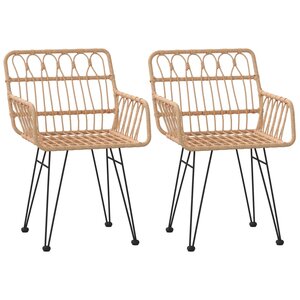 vidaXL Chaises de jardin lot de 2 accoudoir 56x64x80 cm Résine tressée