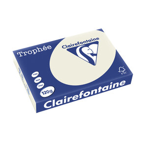 Ramette 250 Feuilles Papier 120g A4 210x297 mm Certifié FSC GRIS PERLE CLAIREFONTAINE