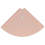 vidaXL Étagère flottante avec étagère 2 Pièces Rose 30 x 30 x 2 cm