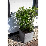 Capi Jardinière Nature Rib carré 30 x 30 cm anthracite KOFZ902