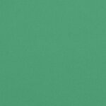 vidaXL Coussins de palette lot de 2 vert 50x50x7 cm tissu oxford