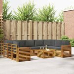 vidaXL Ensemble de canapés d'extérieur 10 pc Naturel et Anthracite