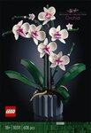 LEGO Botanicals - L'orchidée - Set de Création 10311 pour Adultes