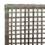 Chaises de jardin vidaXL 2 Pièces avec coussins gris en poly rattan
