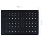 vidaXL Pomme de douche pluie Inox 30x20 cm Rectangulaire Noir