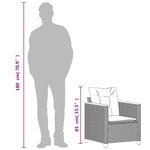 vidaXL Chaise de jardin avec coussins noir résine tressée