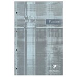 CLAIREFONTAINE Bloc pupitre 80 feuilles 90 grammes format 21x31,5 cm règlure seyès agrafé perforé 66131