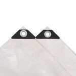 vidaXL Bâche 650 g / m² 5 x 6 m Blanc