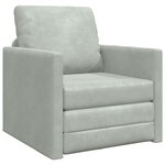 vidaXL Canapé-lit avec coussin Gris clair 74 x 77 x 81 cm Velours