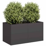 vidaXL Jardinière noir 80x40x40 cm acier laminé à froid