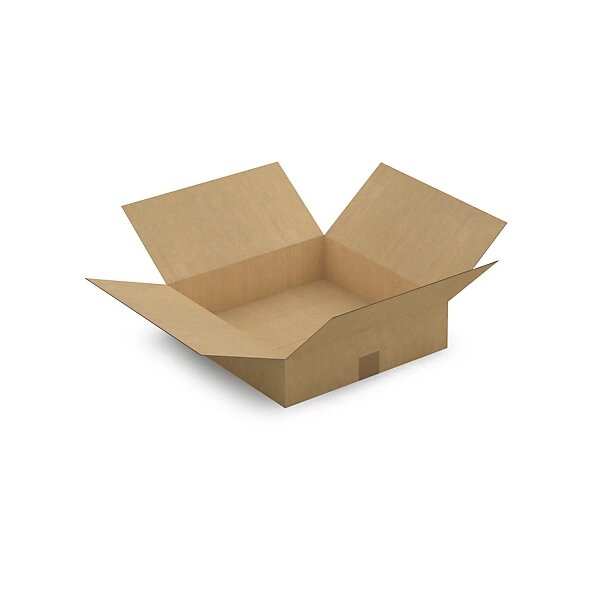 Caisse carton brune simple cannelure à base carrée raja 40x40x10 cm (lot de 20)