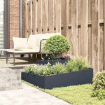 vidaXL Cache-pot de jardin Anthracite 100 x 100 x 50 cm Acier