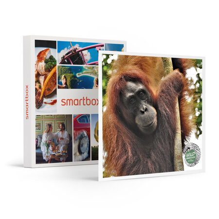 Expérience virtuelle à 360° à faire avec les enfants : exploration au pays des primates - smartbox - coffret cadeau multi-thèmes