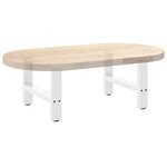 vidaXL Pieds de table basse Blanc 2 pièces 50 x (30-31) cm Acier