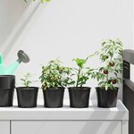 vidaXL Pot à fleurs 50 Pièces Noir Ø 15 x 12 5 cm Plastique