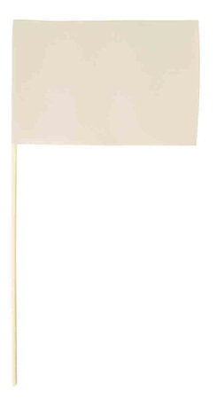 Drapeaux papier blanc 10 x 15 cm 5 pièces