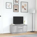 vidaXL Meuble TV avec lumières LED sonoma gris 100x41x50 cm