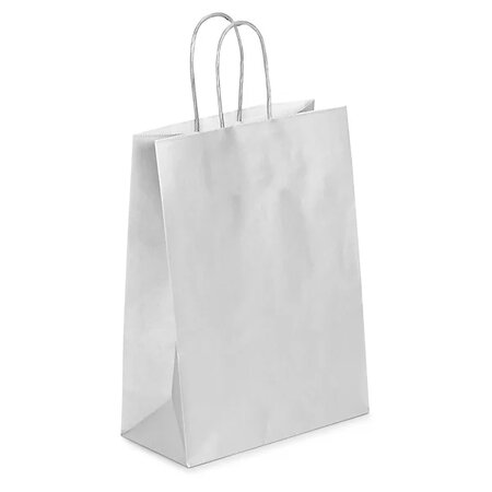 Sac kraft lisse argent à poignées torsadées raja 24 x 31 x 12 cm (lot de 50)