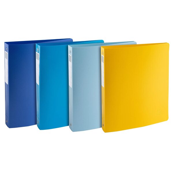 Classeur 4 Anneaux 30mm Polypropylène Recyclé Beeblue - A4 Maxi - Couleurs Assorties - Exacompta