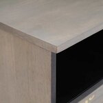 vidaXL Meuble TV Gris et or 100 x 33.5 x 46 cm Bois de manguier massif